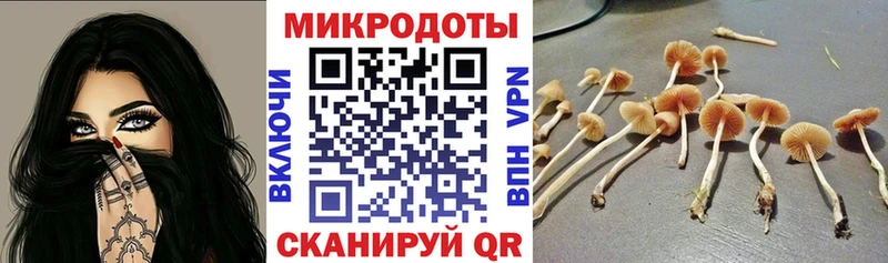 Псилоцибиновые грибы Psilocybine cubensis  даркнет формула  Нарткала 
